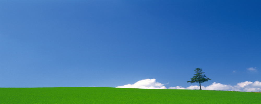 ヘッダーイメージ